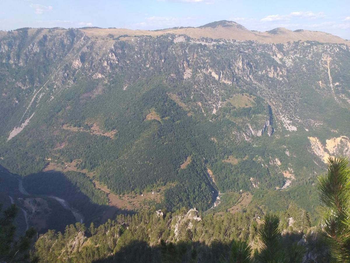 Montana Dobrilovina