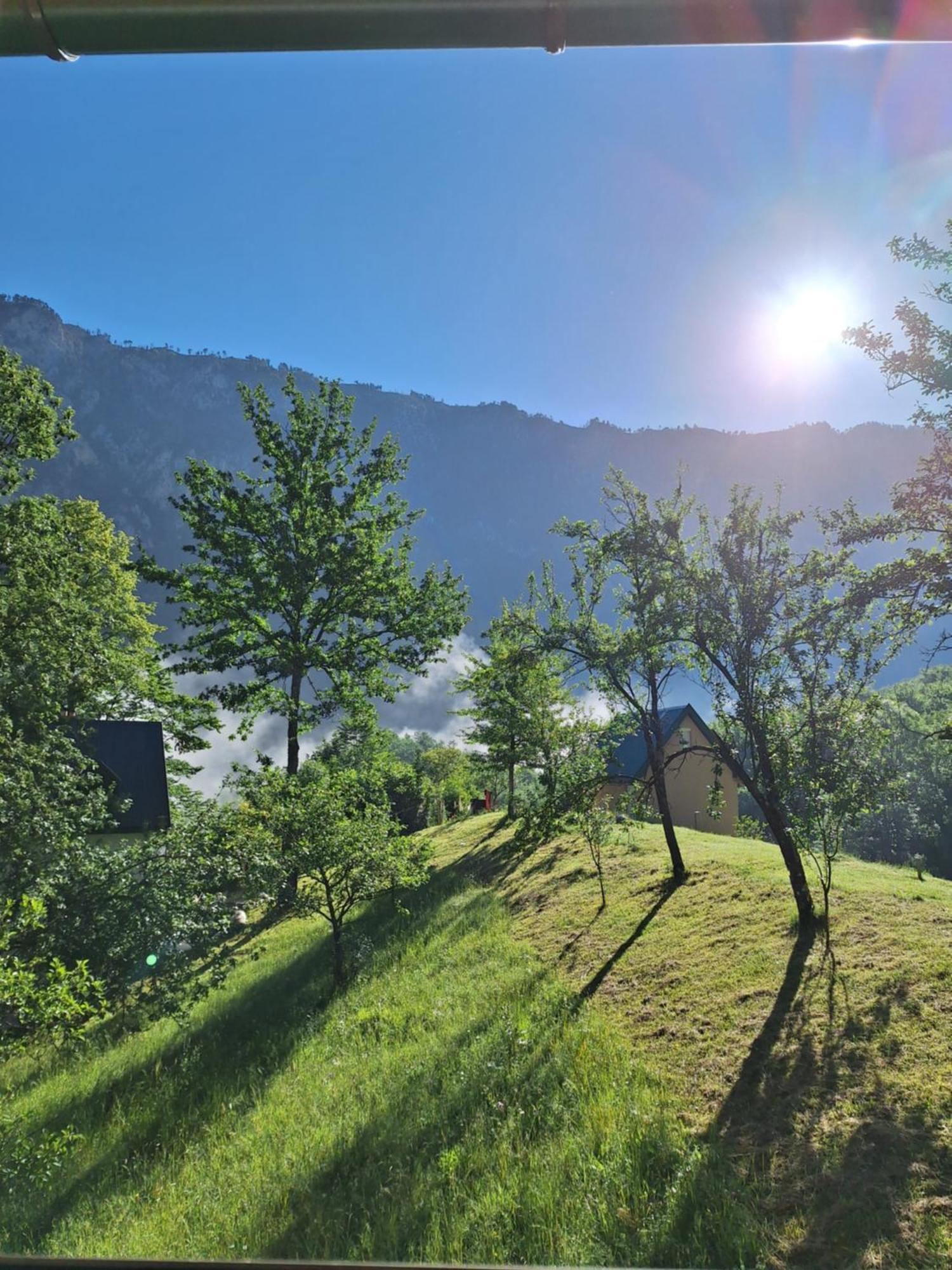 Montana * Dobrilovina